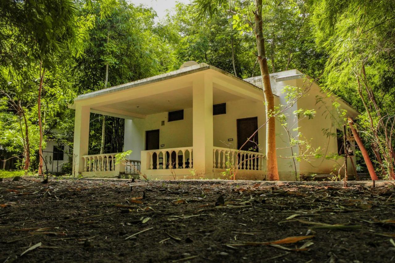 Panna Tiger Resort- Riverside Property Rājgarh Exterior foto